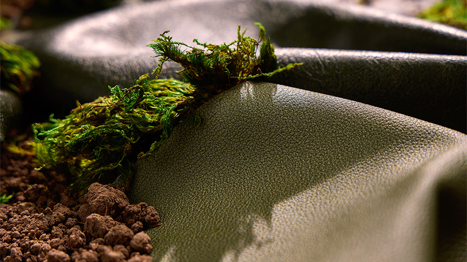 Reve™ Collection Wins Silver  in the 2025 Nightingale Awards