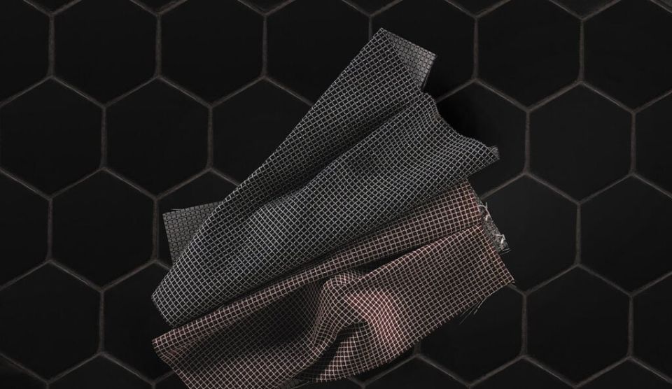 Pallas-Transformations-image 2.jpg